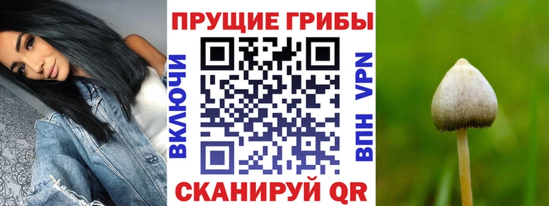 Купить закладки  Власиха  Галлюциногенные грибы ЛСД 
